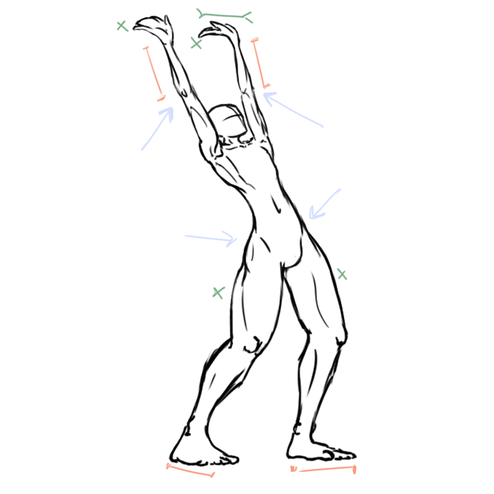 Astuces proportion personnage Astuces proportion personnage