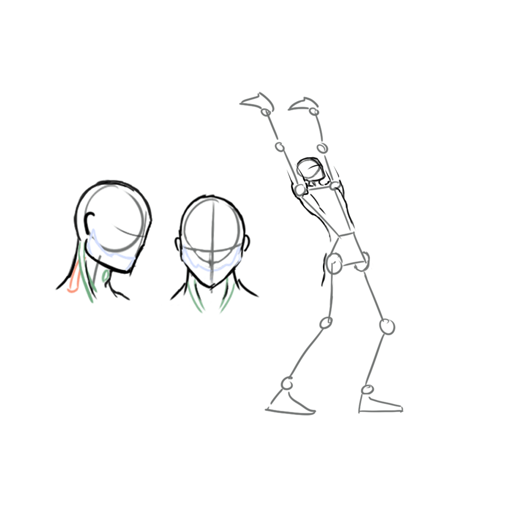 cou et cervicale Le cou